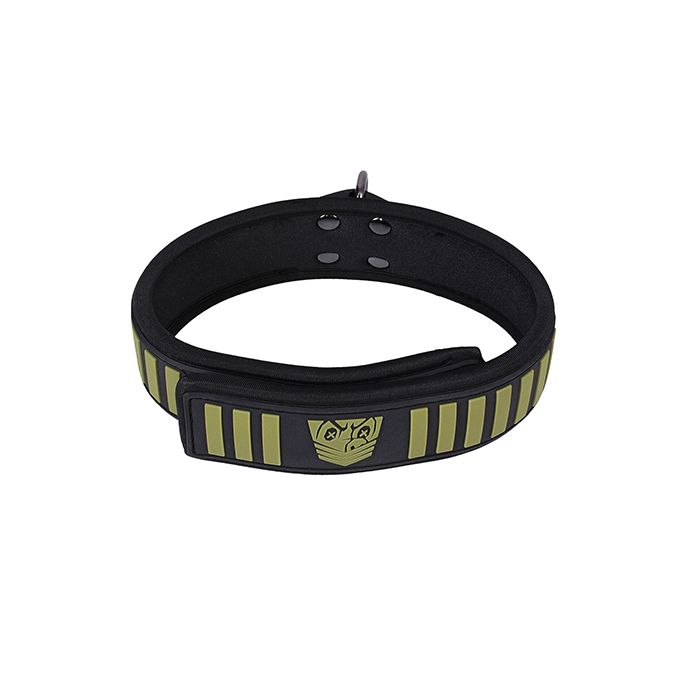 Fort Troff Tactical Leash & Collar