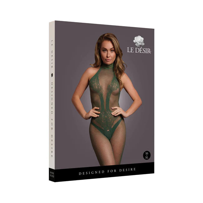 Fishnet and Lace Bodystocking