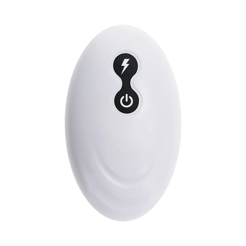 The remote controlled used for the Monster's Ball Dildo