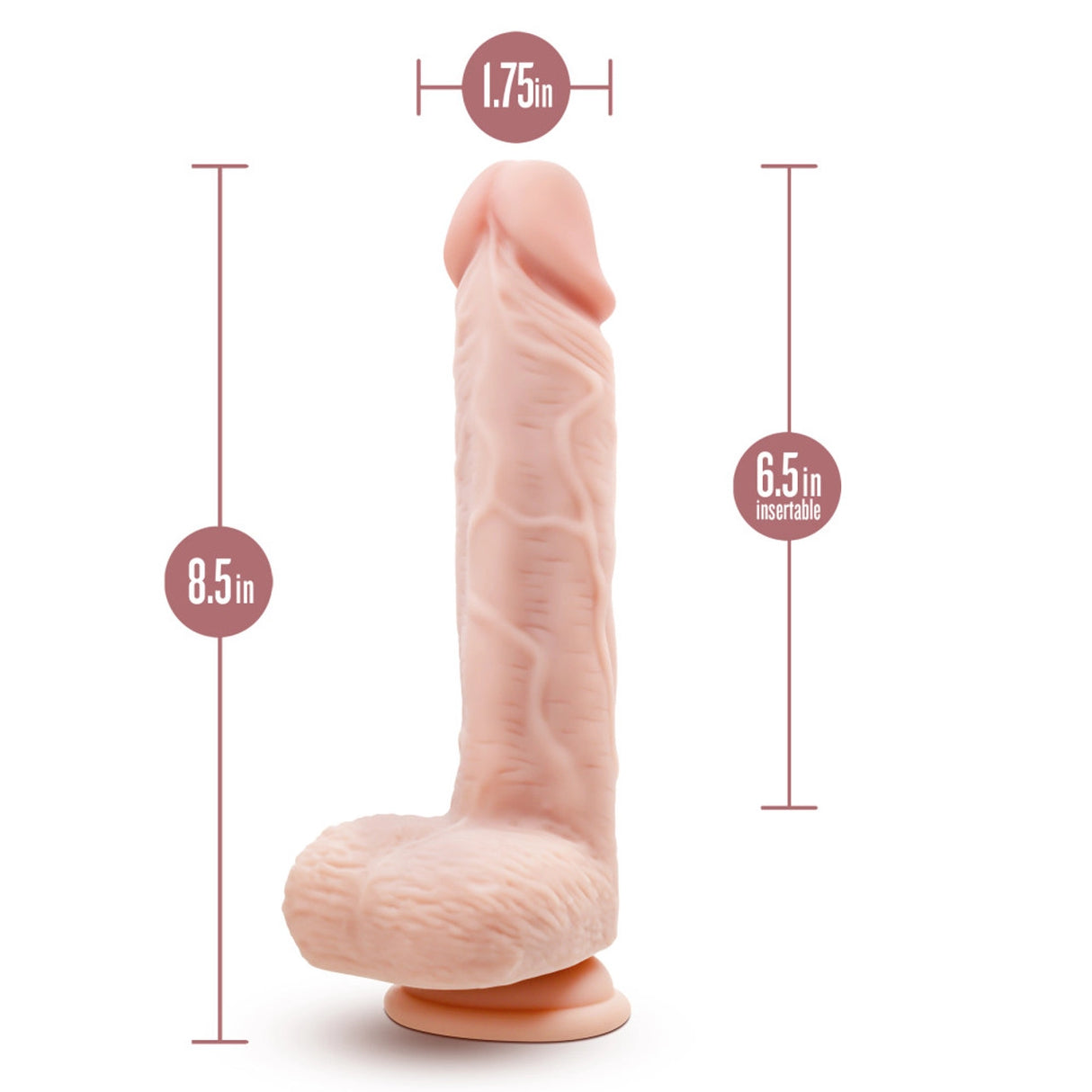 Dr. Skin Silicone Dr. Ethan Gyrating & Vibrating Dildo 8.5 inch