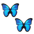 Neva Nude Black glitter and blue butterfly pasties