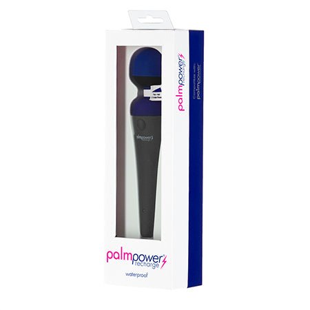 Palmpower Recharge Waterproof Massager