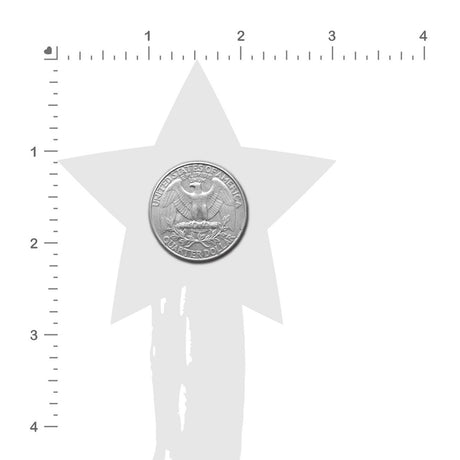 Black Tassel Sparkle Star with Long Fringe Nipple Pasties