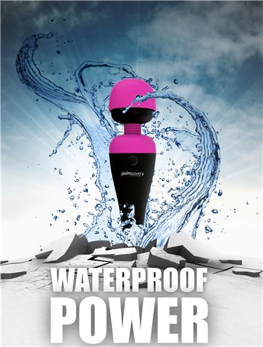 Palmpower Recharge Waterproof Massager