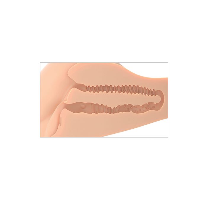 Illustration of the openings of the 360 torso banger