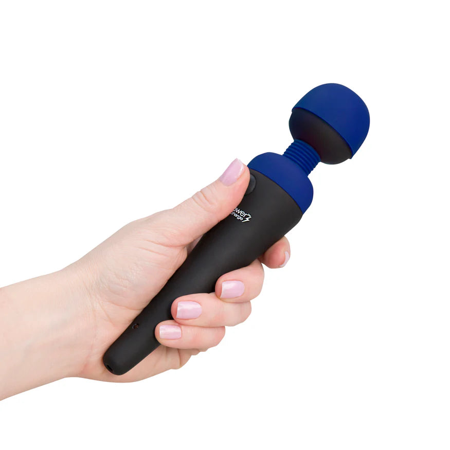 PalmPower Recharge Wand Vibrator