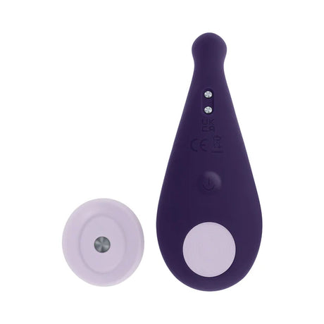 Evolved Panty Party Remote Controlled Panty Vibrator