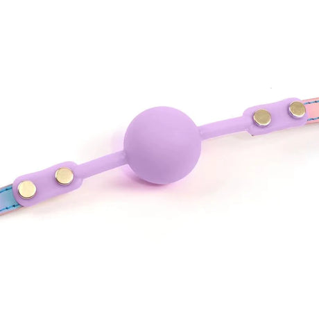 Hello, Sexy! Purple Gag Order Ball Gag