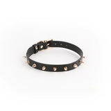 Hustler Taboo Medusa Metal Studded Spiked Collar