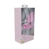 International Paris Pink Metal Anal Plug Set