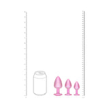International Paris Pink Metal Anal Plug Set