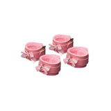 Kawaii Pink Bondage Set