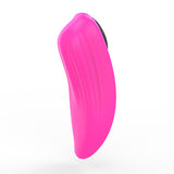 Lovense Ferri Panty Vibrator