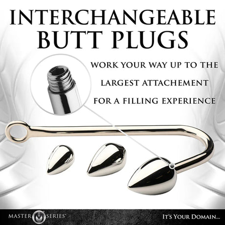 Master Series Anal Hook Trainer with 3 Plugs