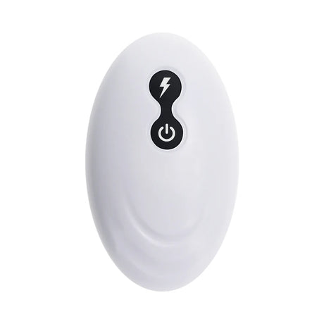 The remote controlled used for the Monster's Ball Dildo