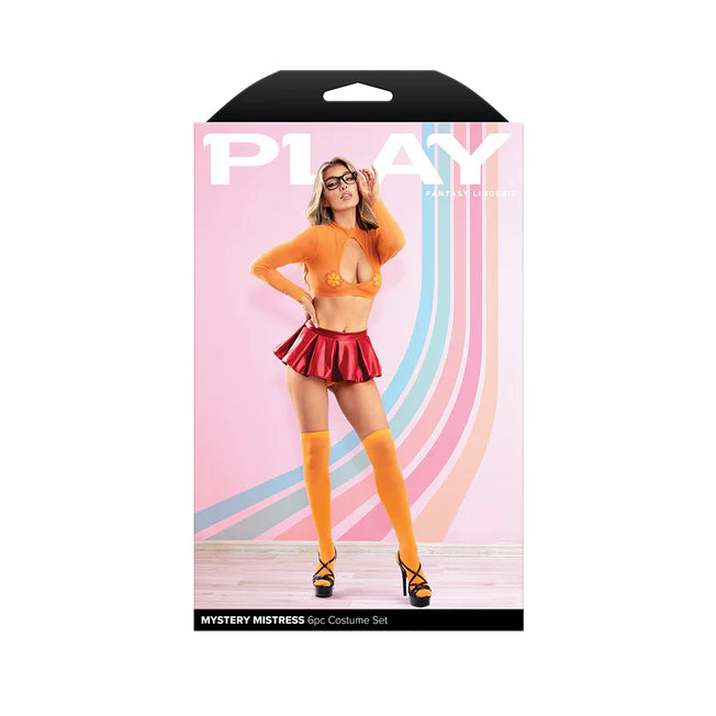 Sexy Mystery Mistress 6-Piece Costume