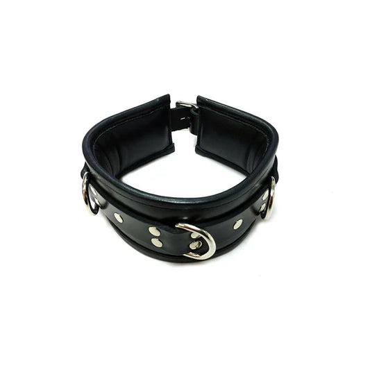 Rouge Leather Padded Collar In Black