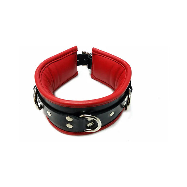 Rouge Leather Padded Collar In Black & Red