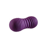 Evolved Eager Egg Vibrator