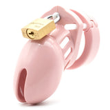 CB-6000S  2.5" Chastity Cock Cage Kit  - Clear - Pink